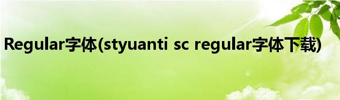 Regular字体(styuanti sc regular字体下载)