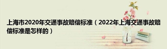 上海市2020年交通事故赔偿标准（2022年上海交通事故赔偿标准是怎样的）