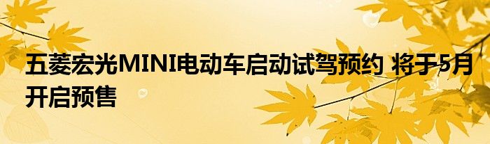 五菱宏光MINI电动车启动试驾预约 将于5月开启预售