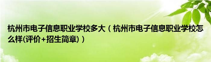 杭州市电子信息职业学校多大（杭州市电子信息职业学校怎么样(评价&amp;#x2B;招生简章)）