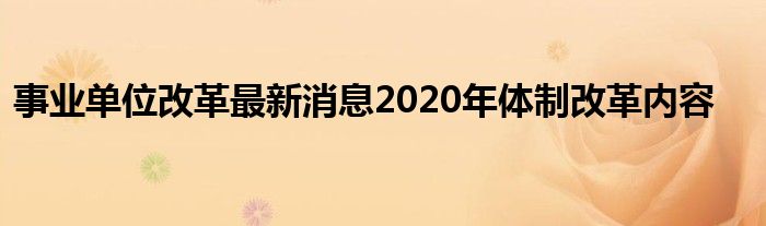 事业单位改革最新消息2020年体制改革内容