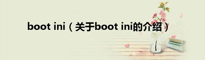 boot ini（关于boot ini的介绍）