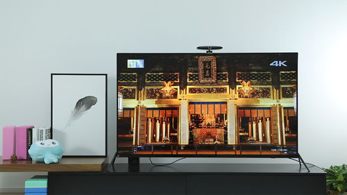 国产电视机排名前三的品牌《国产电视机10大品牌》