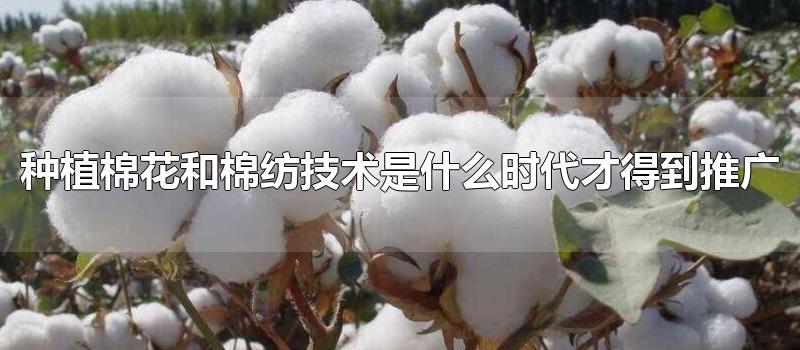 种植棉花和棉纺技术是什么时代才得到推广（植棉和棉纺织业发展的影响）