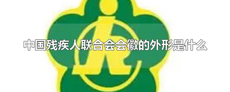 中国残疾人联合会会徽的外形是什么（中国残疾人联合会会徽的外形是什么砖）