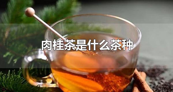 肉桂茶是什么茶种 肉桂茶有什么特点（肉桂茶最好的品种是什么）