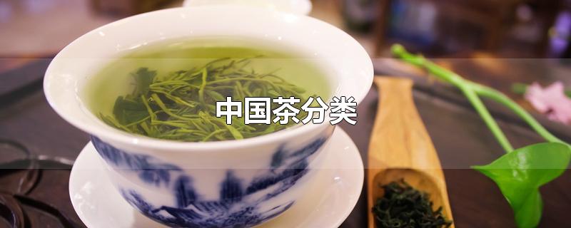 中国茶分类（中国茶分类三大分类）